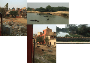 group india 2